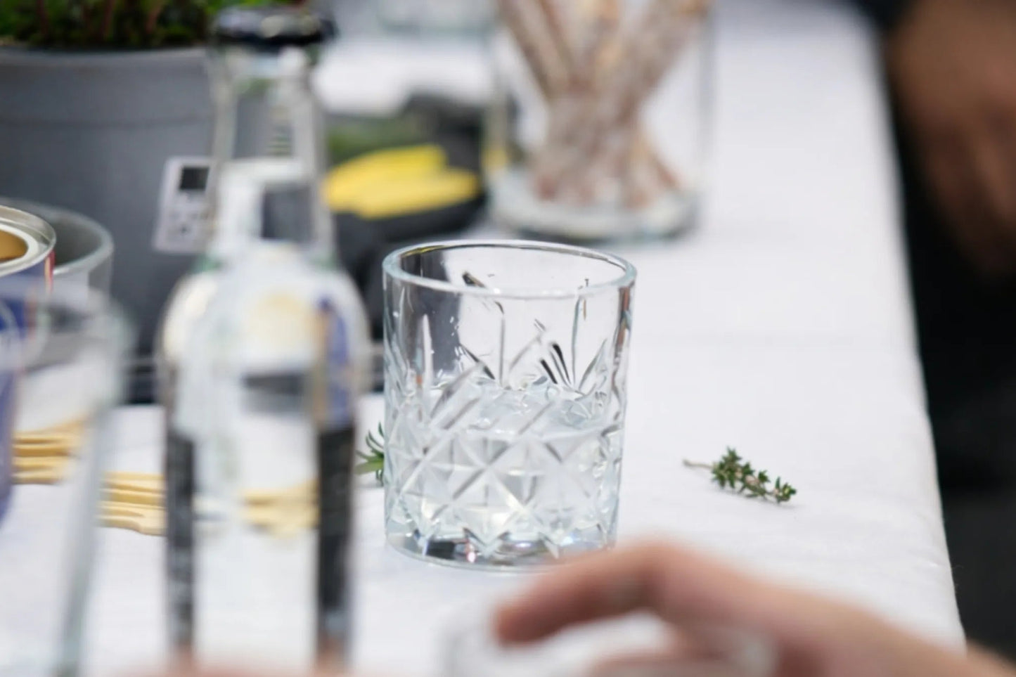 Gin Zutaten und Botanicals auf Tisch – Gin Tasting für Premium Gin Destillation bei SNOWO