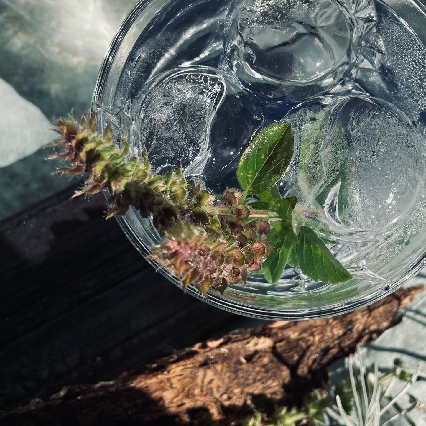 SNOWO Gin Tasting // Sa. 18.04.2026・18 Uhr