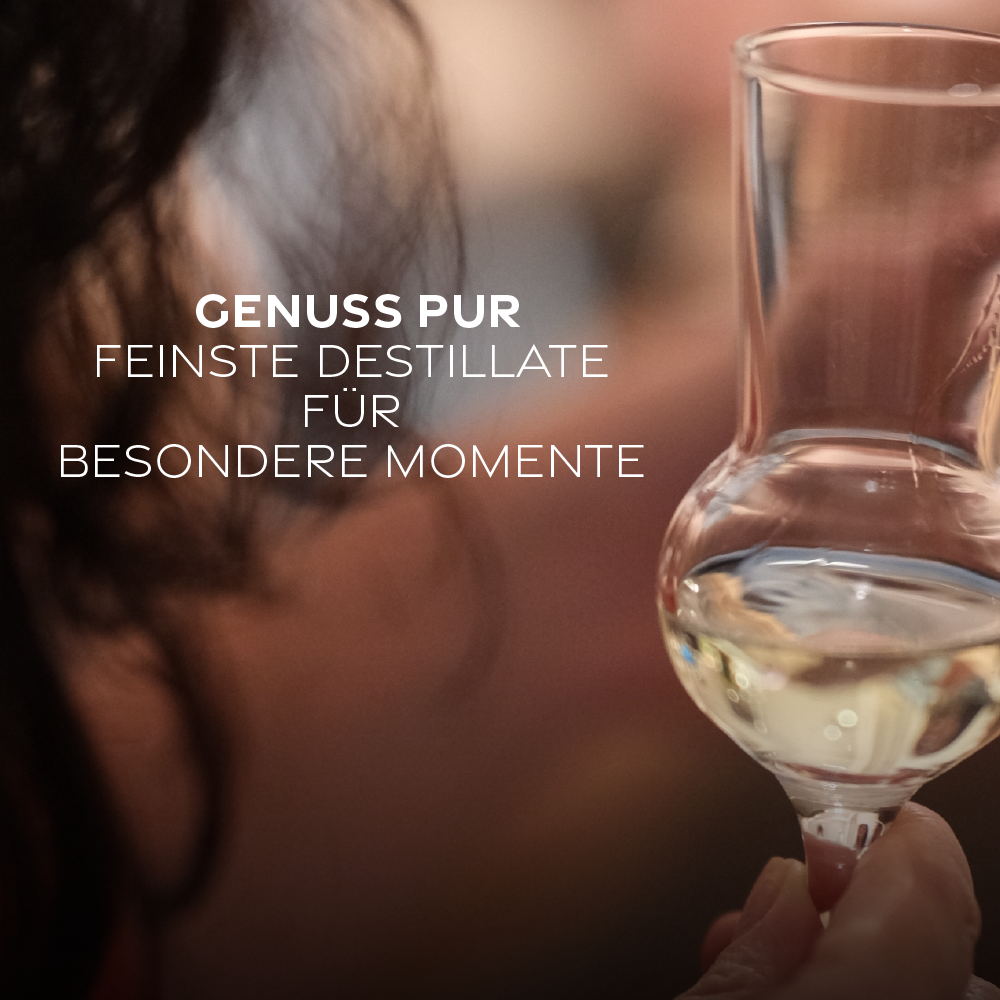 Premium Gin im eleganten Glas bei warmer Lichtstimmung – Handcrafted London Dry Gin von SNOWO für besondere Genussmomente