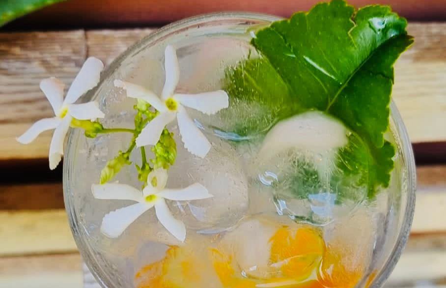 Erfrischender Gin Cocktail mit Zitrusfrüchten, Kräutern und Blüten – sommerlicher Premium Drink von SNOWO - Cocktail Workshop